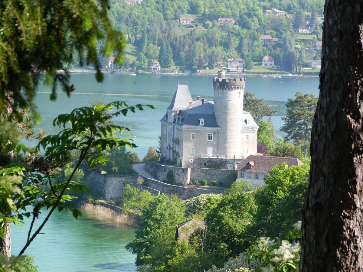 Au Bord Du Lac D'Annecy, Logement Type Loft, Dans Residence Avec Plage Et Ponton Privee Duingt Exterior foto